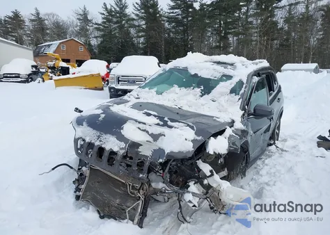 2019 Jeep Cherokee Limited 4X4 из США, поврежденный, VIN 1C4PJMDX2KD122607